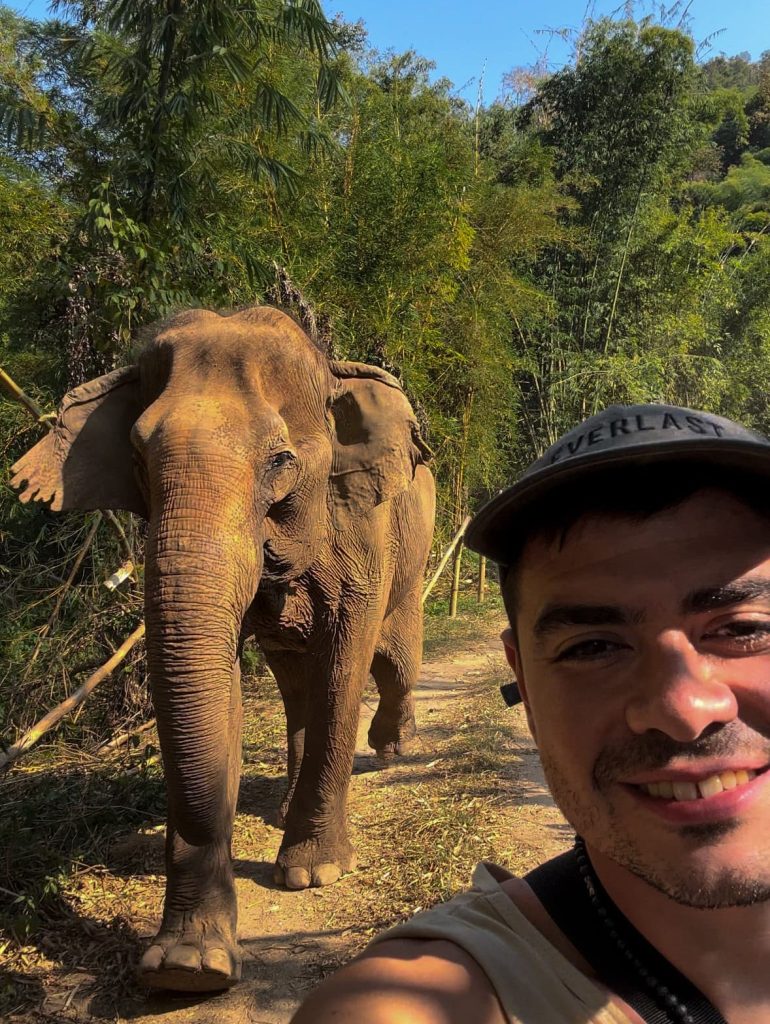 elephant nature park
