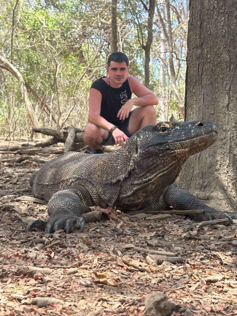 Dragon de komodo