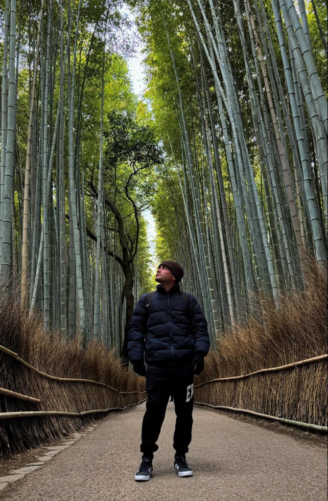Bosque de Bambú a primeras horas del día 