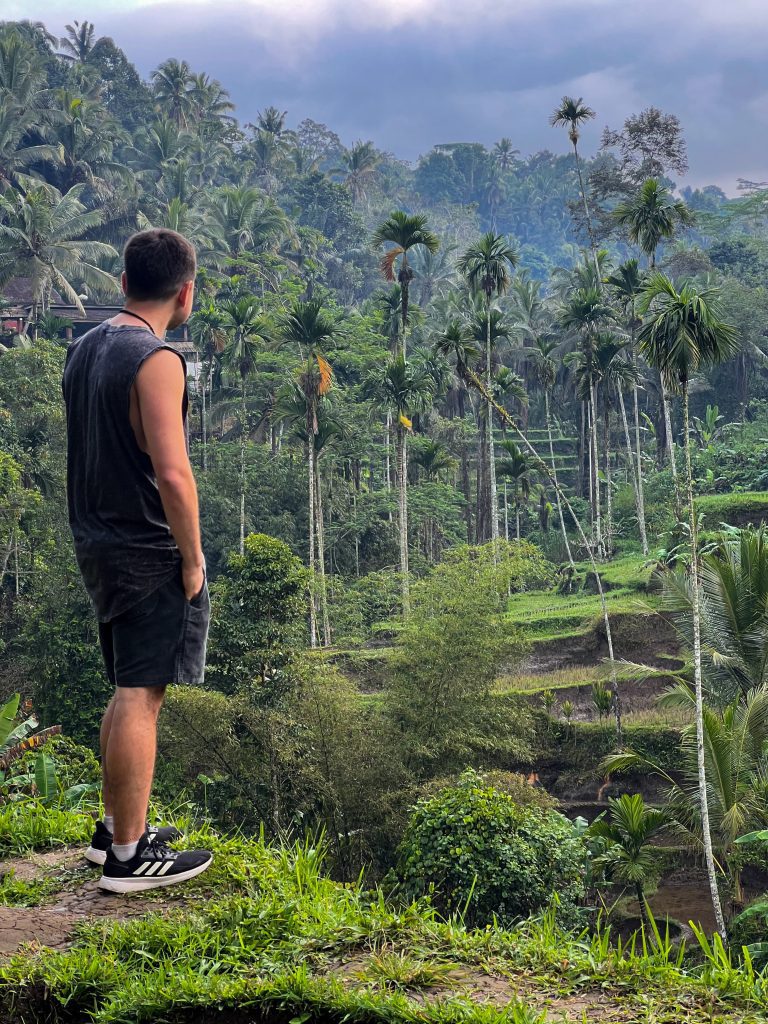 Paisaje de los ARROZALES DE TEGALALANG en Ubud , Bali. Indonesia