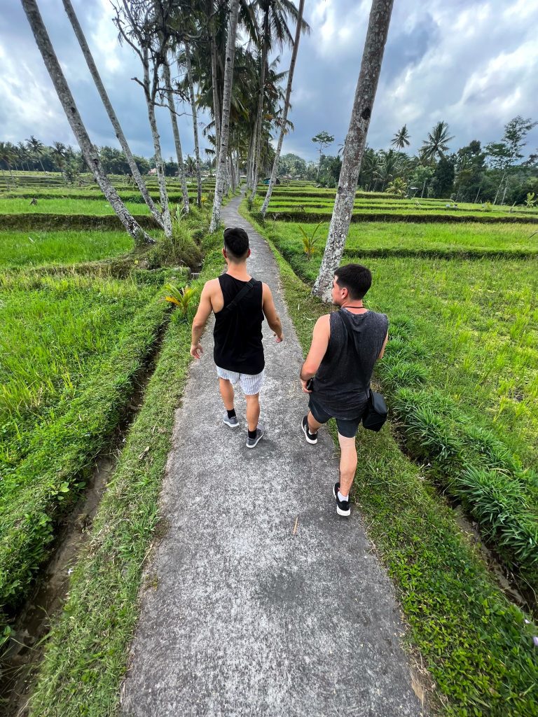 Caminos de Bali