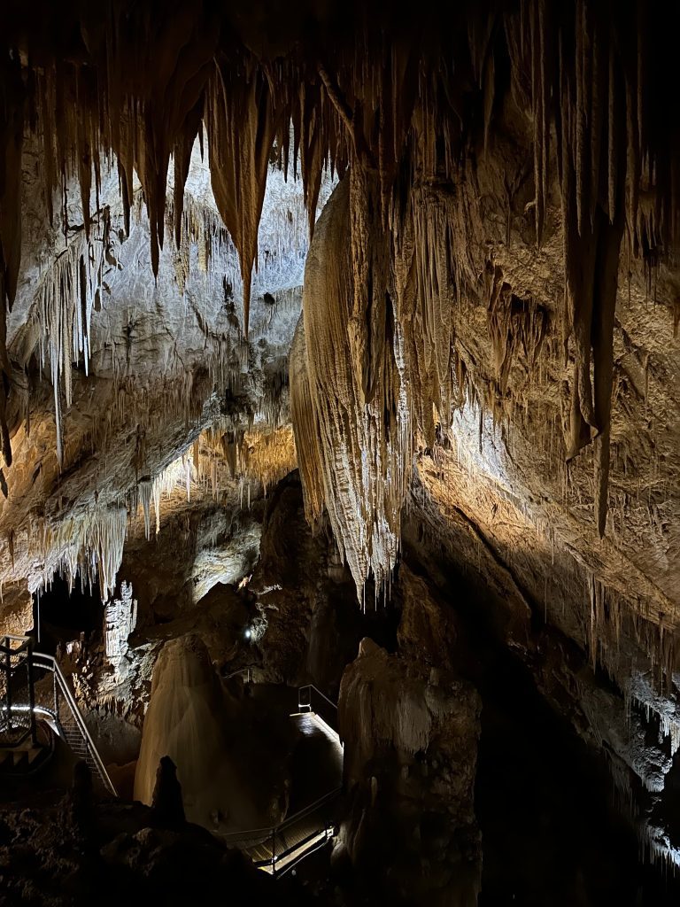 interior desde las Hastings Caves en Tasmania, Australia