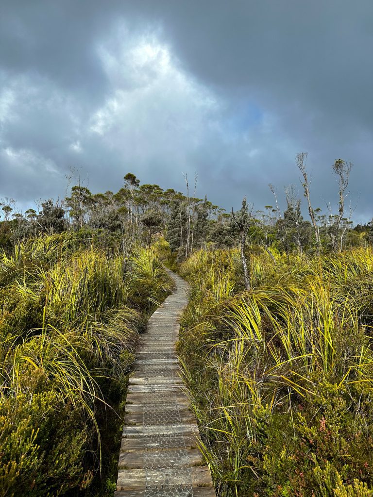 Caminos en Hartz Mountain