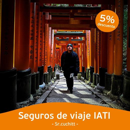 IATI JAPÓN