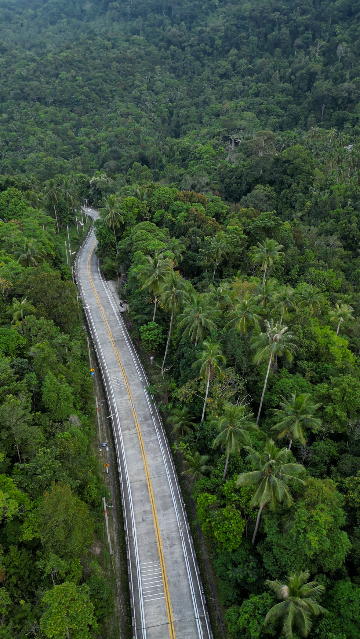 Kho phangan