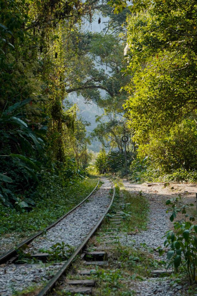 Camino de Hidroeléctrica